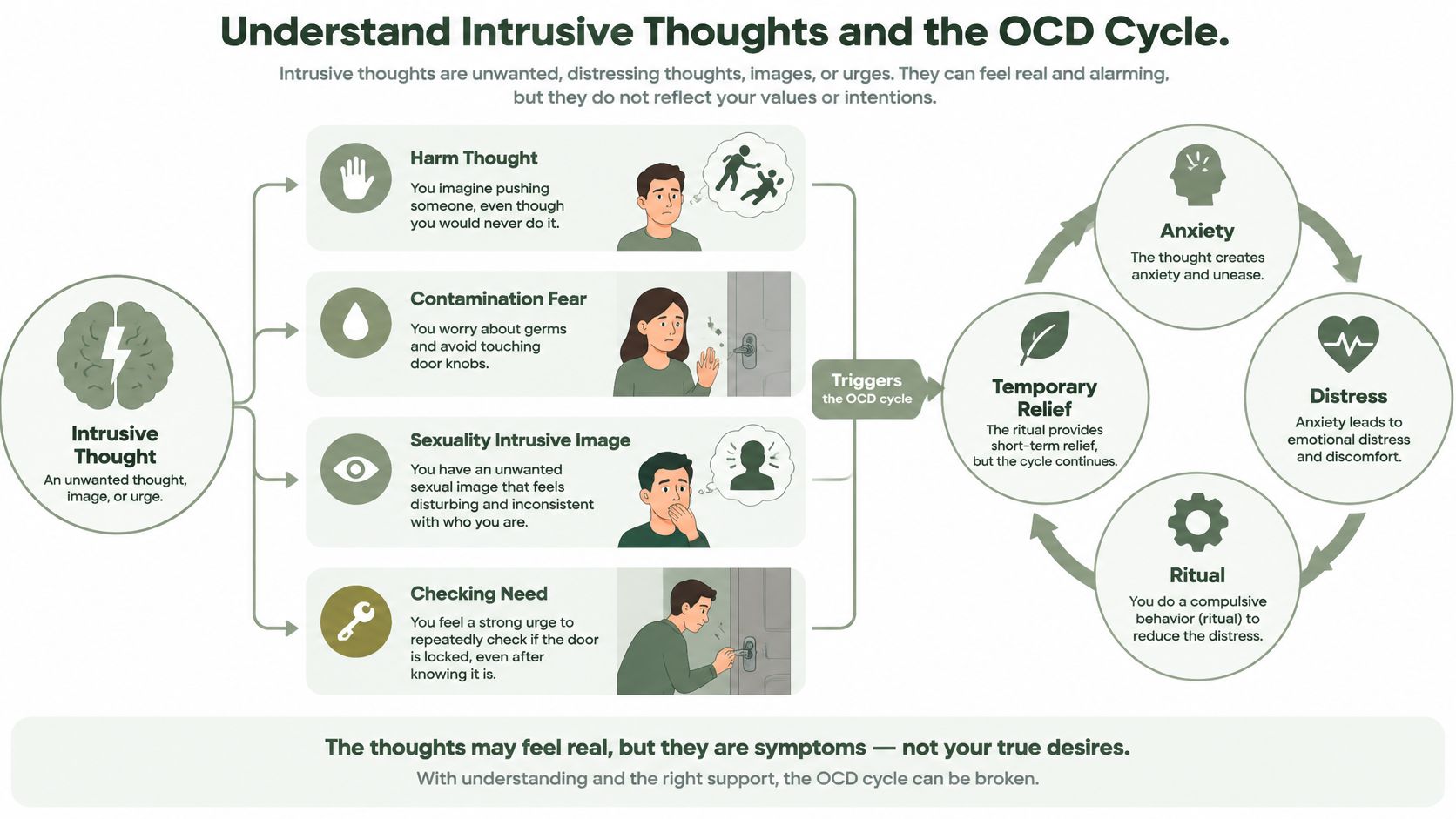A diagram explaining the OCD cycle, showing how intrusive thoughts lead to distress and repetitive rituals.